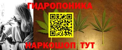 амф Камышлов
