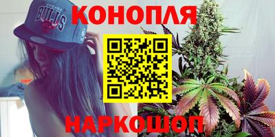 амф Камышлов