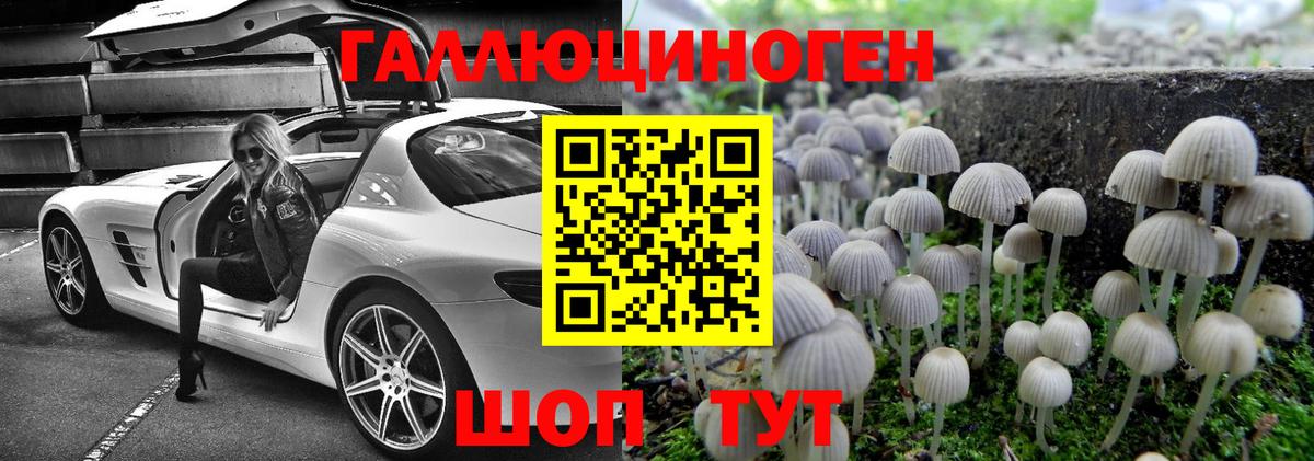 Псилоцибиновые грибы Magic Shrooms  Вход с VPN  Заринск 